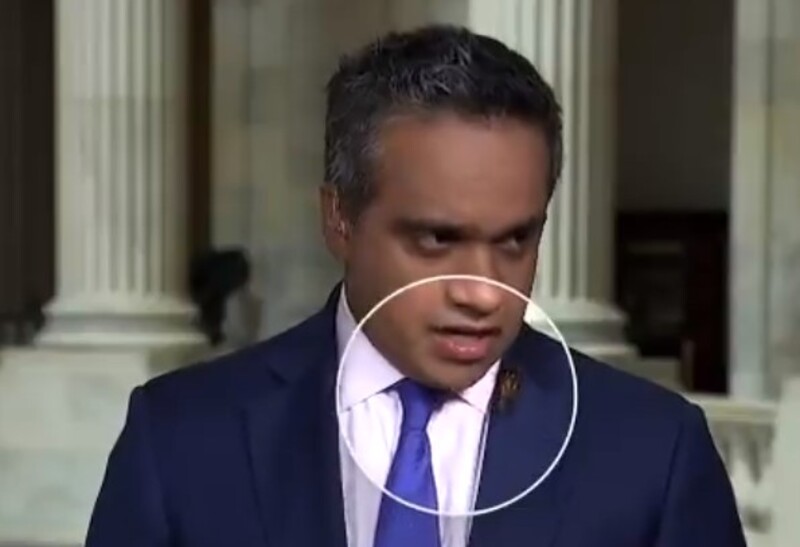 CNN Reporter Manu Raju Squirms After Cicada Creeps Up Onto His Neck